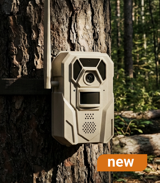 20251224-184424.png__PID:1fefb8d0-51ba-4aae-8c7e-2cc68d37a8dd