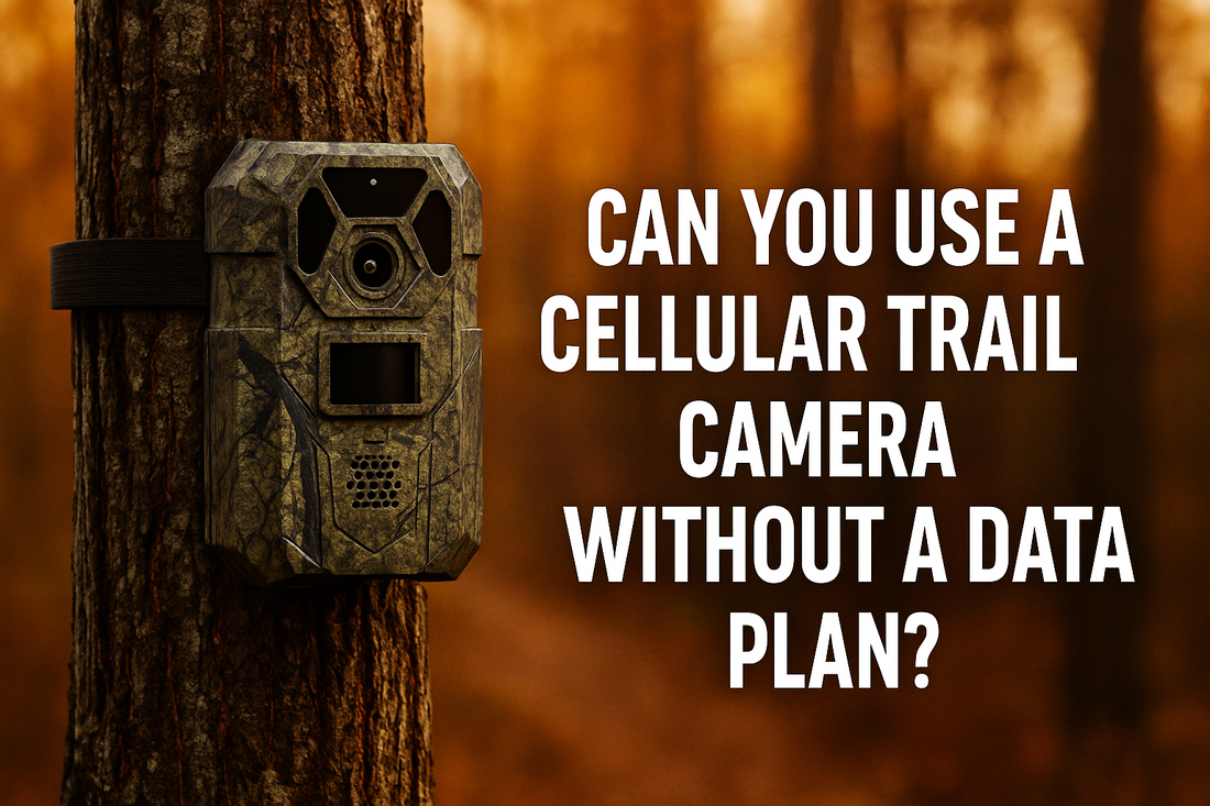 Can You Use a Cellular Trail Camera Without a Data Plan?