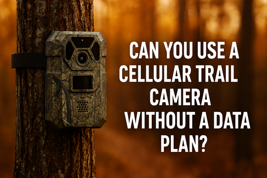 Can You Use a Cellular Trail Camera Without a Data Plan?