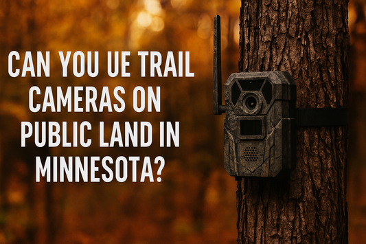 Can You Use Trail Cameras on Public Land in Minnesota?
