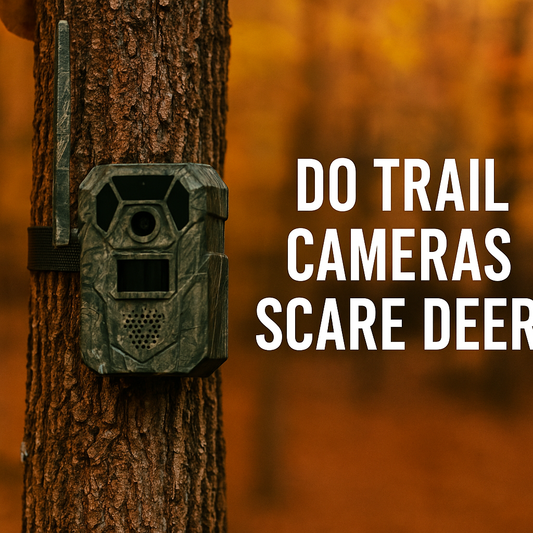 Do Trail Cameras Scare Deer? Learn Impact of Scouting Tech