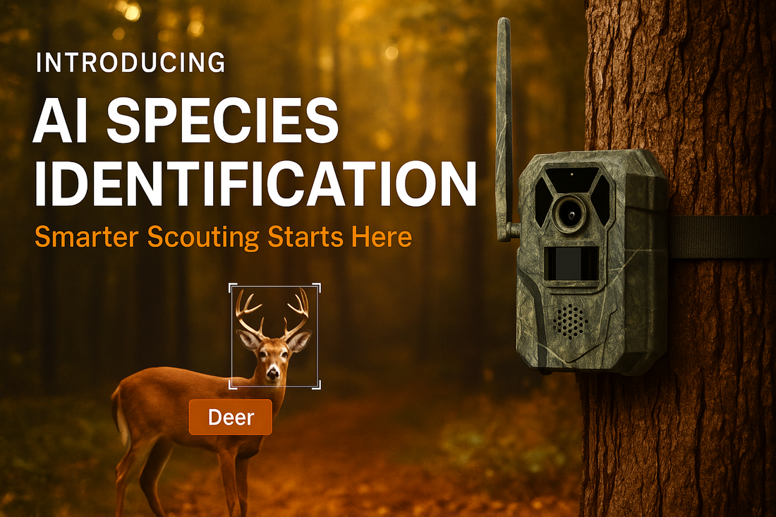 Introducing AI Species Identification Technology, Smarter Scouting Starts Here