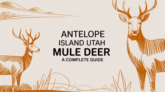 Antelope Island Utah Mule Deer A Complete Guide