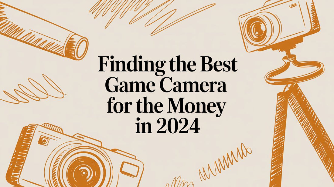Finding the Best Game Camera for the Money in 2024