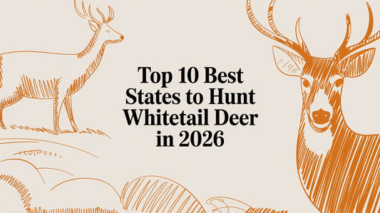Top 10 Best States to Hunt Whitetail Deer in 2026