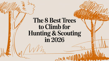 The 8 Best Trees to Climb for Hunting & Scouting in 2026 – Magic Eagle