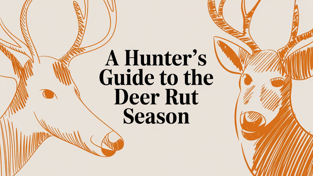 A Hunter's Guide to the Deer Rut Season