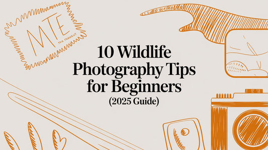 10 Wildlife Photography Tips for Beginners (2025 Guide)