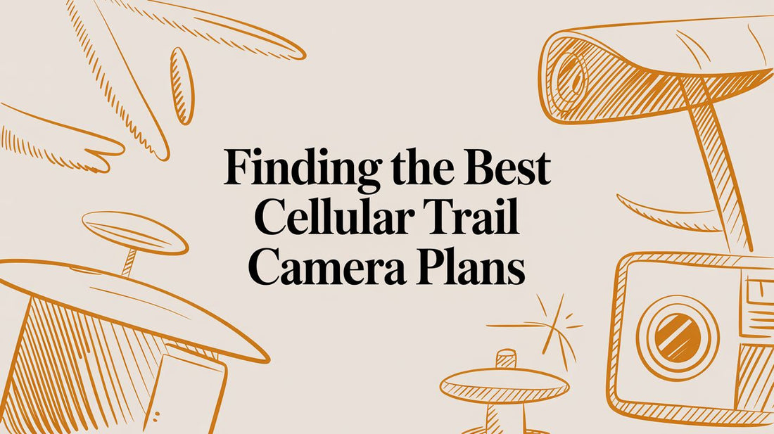 Finding the Best Cellular Trail Camera Plans