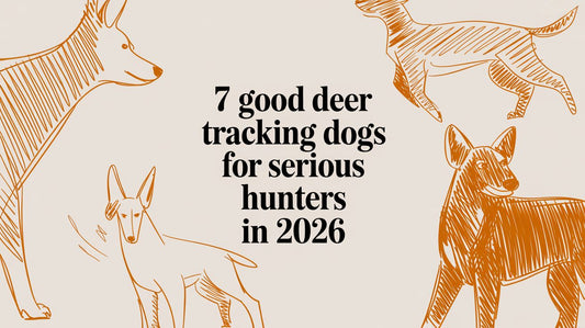7 Good Deer Tracking Dogs for Serious Hunters in 2026