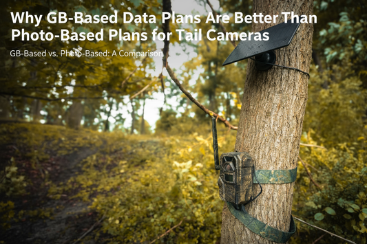 Why GB-Based Data Plans Are Better Than Photo-Based Plans for Trail Cameras