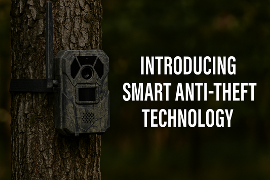 Stay One Step Ahead: Introducing Smart Anti-Theft System