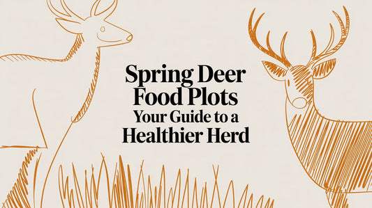 Spring Deer Food Plots Your Guide to a Healthier Herd