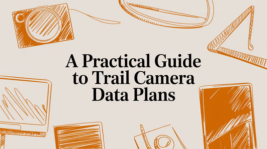A Practical Guide to Trail Camera Data Plans