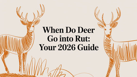 When Do Deer Go Into Rut: Your 2026 Guide