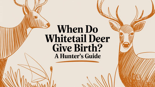 When Do Whitetail Deer Give Birth? A Hunter's Guide