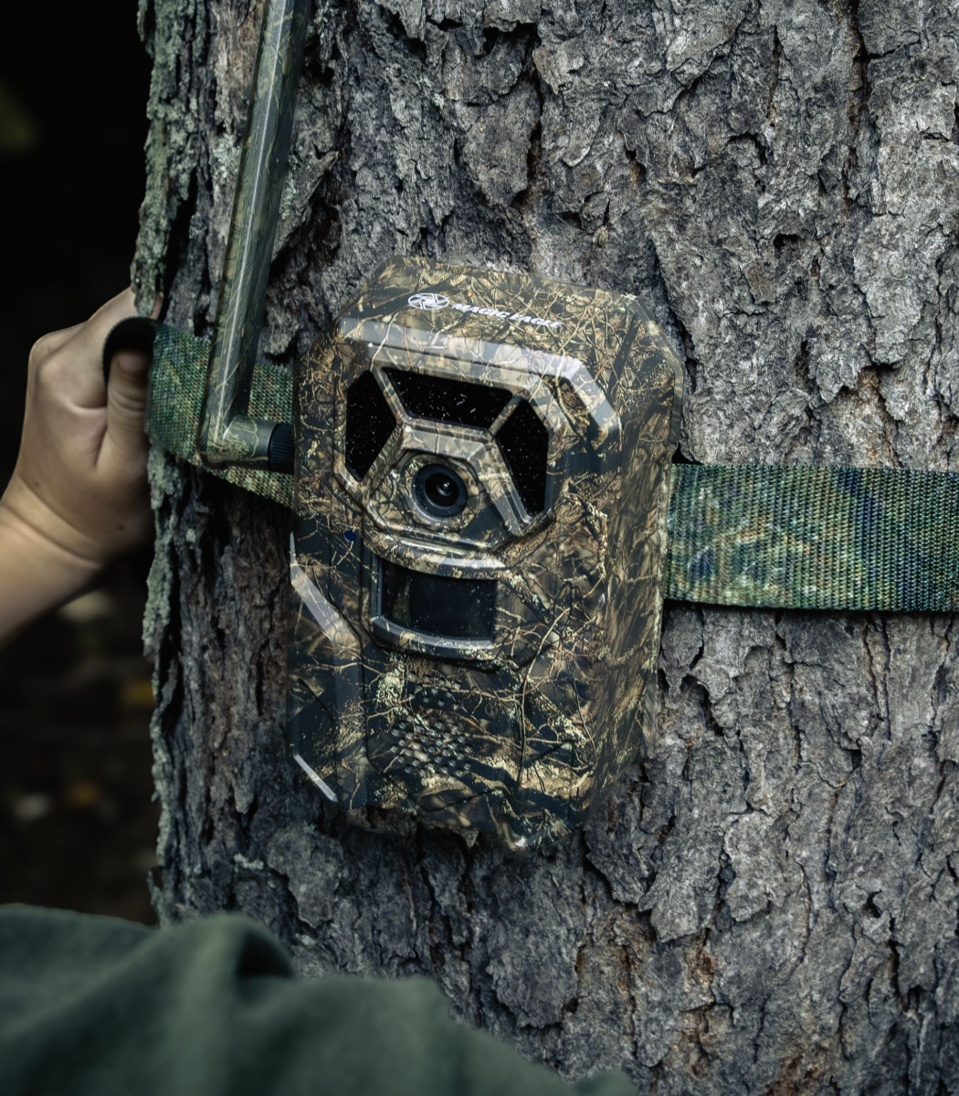 20251224-184414.png__PID:39a51fef-b8d0-41ba-8aae-4c7e2cc68d37