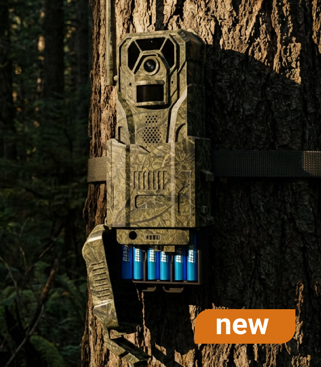 20251224-184419.png__PID:a51fefb8-d051-4aca-ae4c-7e2cc68d37a8