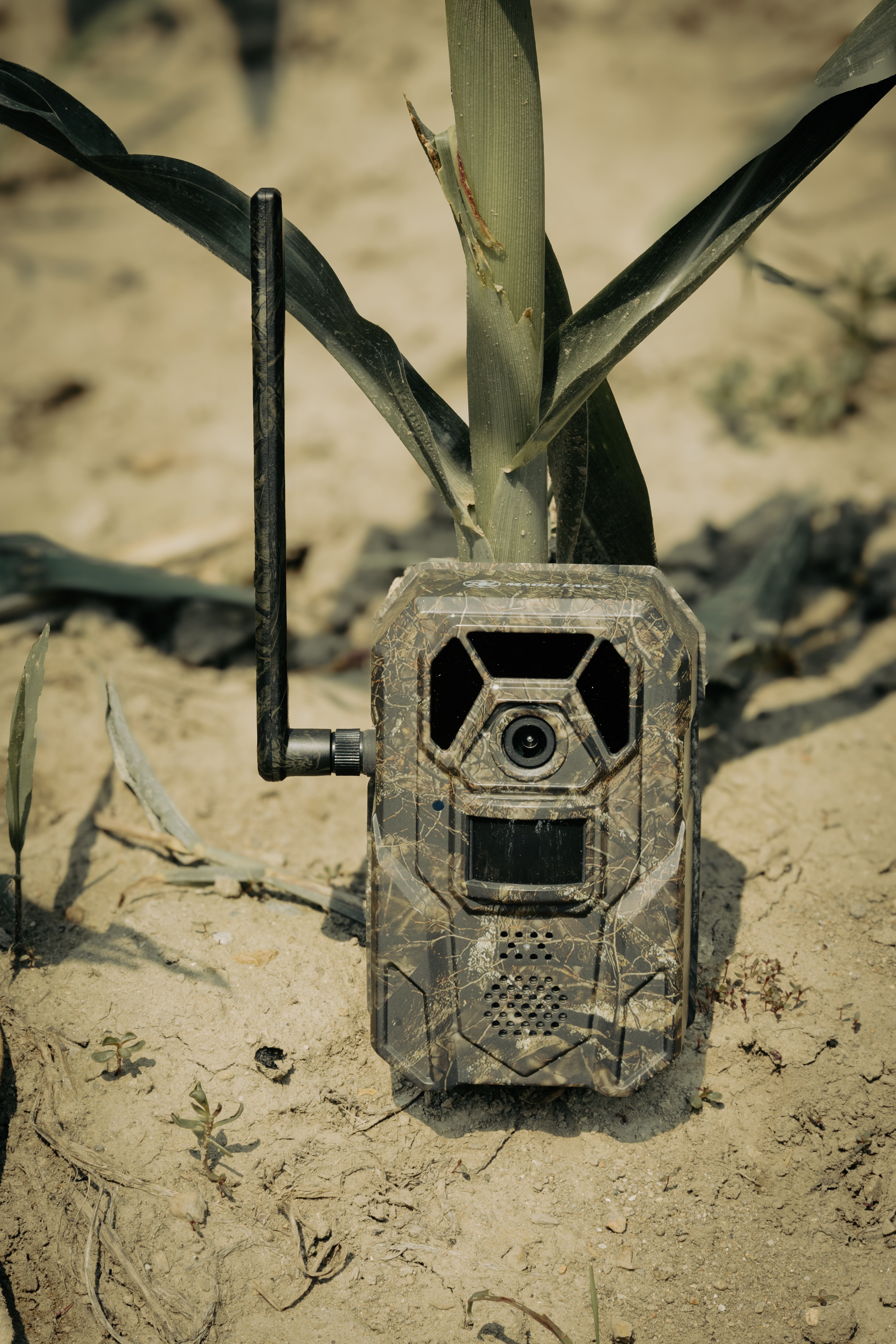 Magic Eagle® H1 Trail Camera