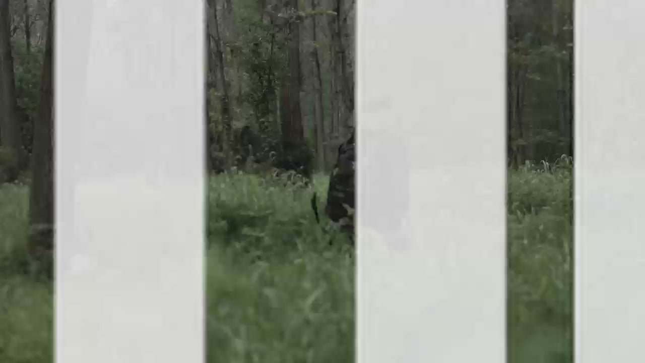EagleCam 5 Video