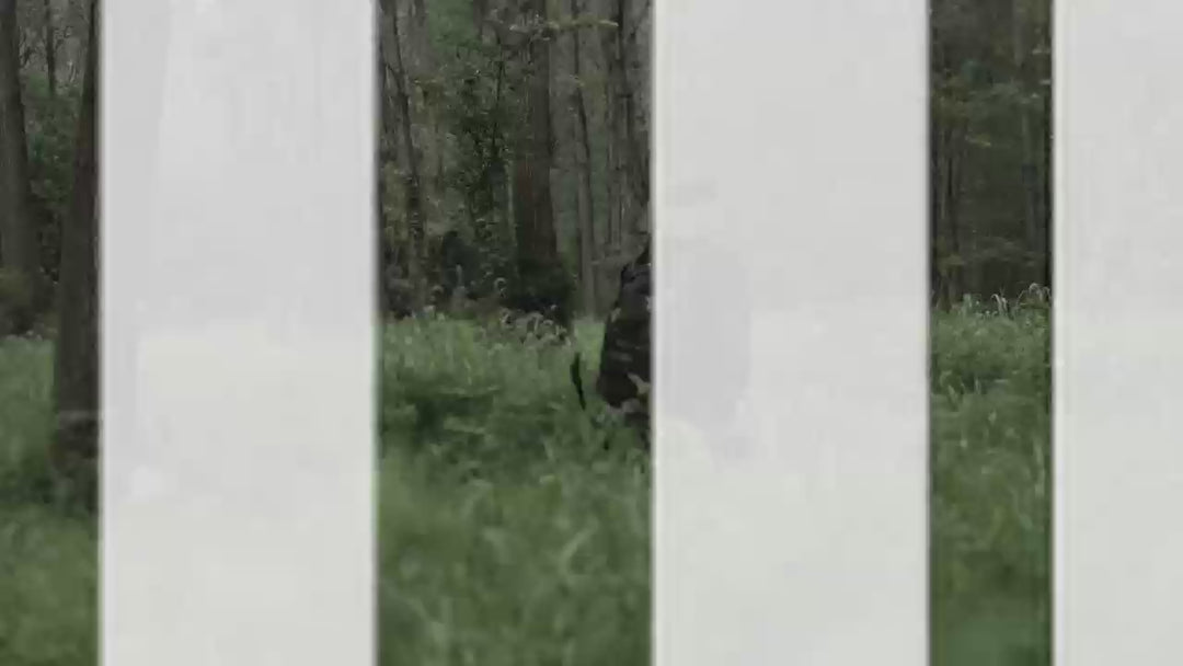 EagleCam 5 Video
